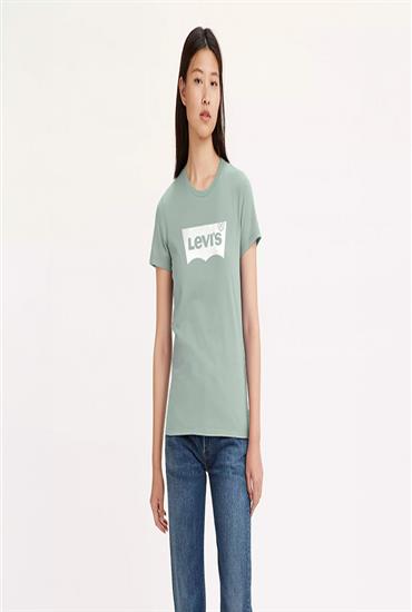WT FERGIE RELAXED TEE_BN-Mineral Green